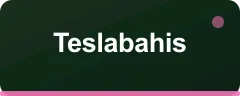 Teslabahis logo