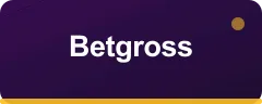 Betgross logo